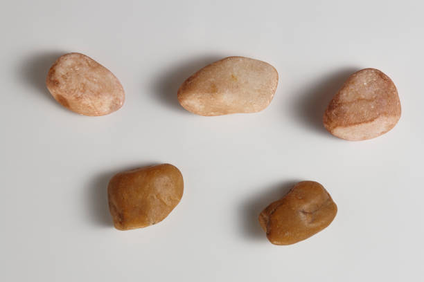 Collection of Brown River Stones or Rocks. Top View Close Up Macro View with real Shadow