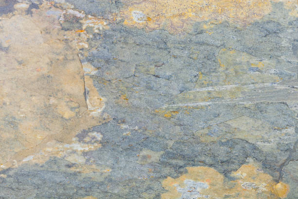 istock Green grunge stone texture background with cracks 901650872