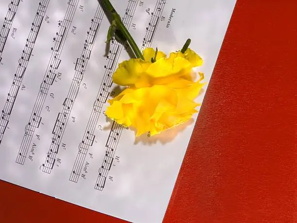 Photo of Yellow Rose and Sheet Music