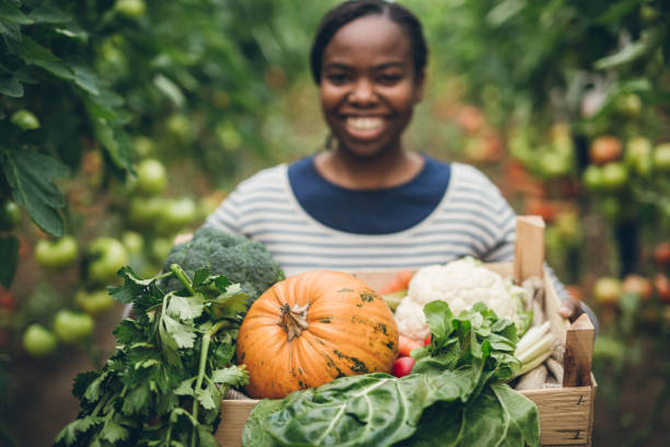 istock Farmer holding box with fresh organic vegetables 901653320