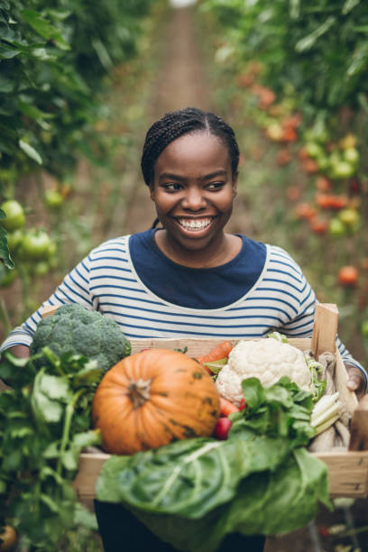 istock Farmer holding box with fresh organic vegetables 901653358