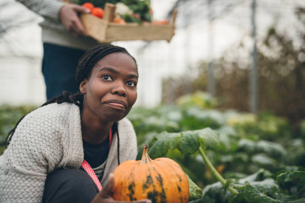 istock Autumn pumpkin harvest 901653516