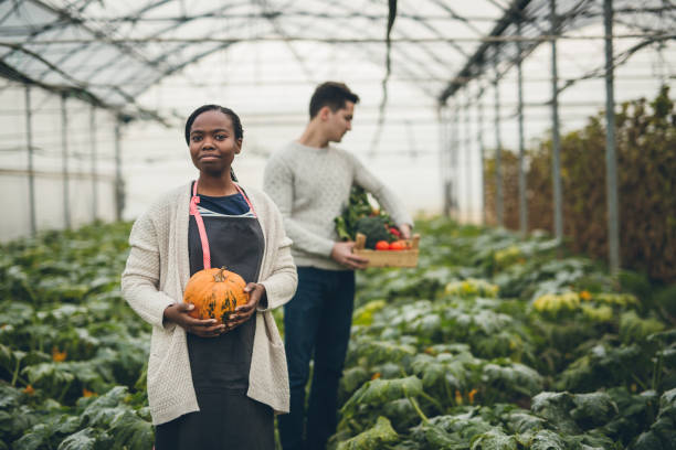 istock Autumn pumpkin harvest 901653626