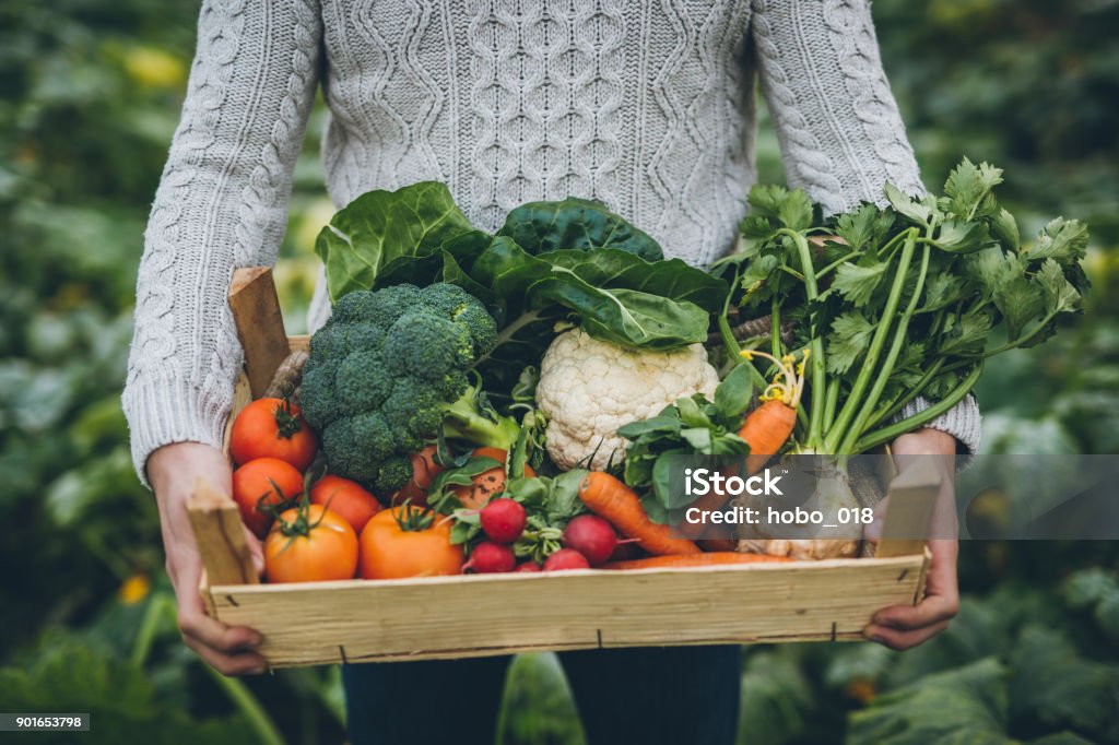 Jonge boer met krat vol met groenten - Royalty-free Groente Stockfoto