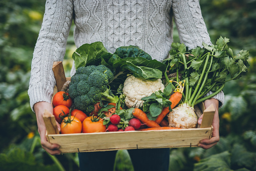 Portrait of happy male carrying vegetables in crate at farm