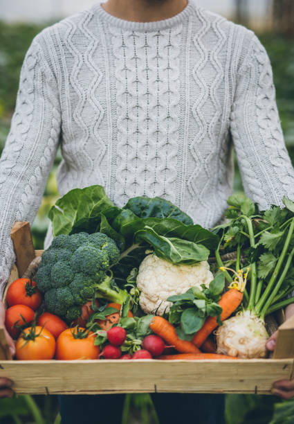 istock Young farmer with crate full of vegetables 901653828