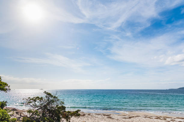 istock Cloudy sky over the sea in Alghero 901653950