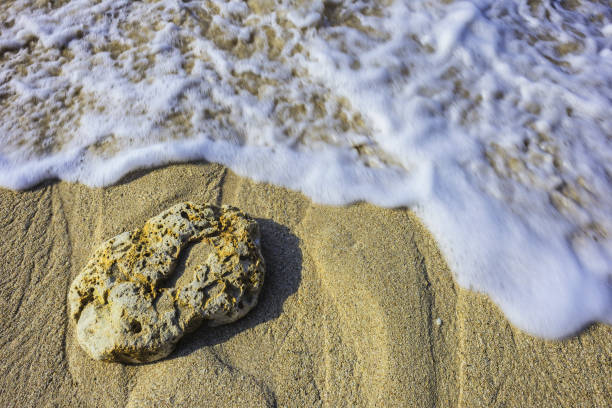 istock Coral stone on the sea beach 901654012