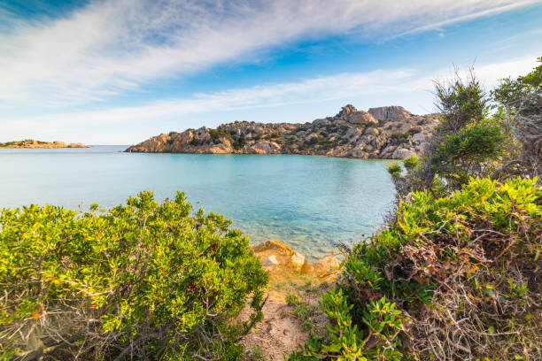 istock Clouds over Spalmatore beach in La Maddalena 901654714
