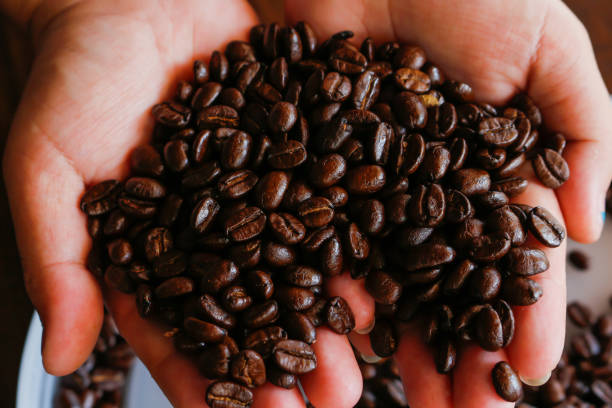istock close up of man holding coffee beans 901658676