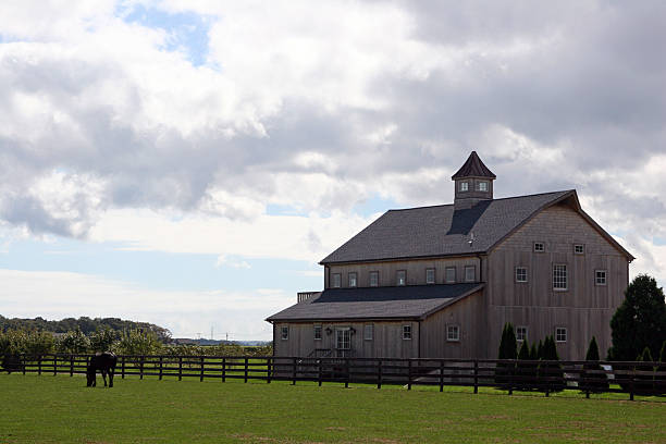 istock Horse and Farmhouse 90165898