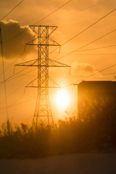 istock Sunset Silhouette of grass with power lines 901659436