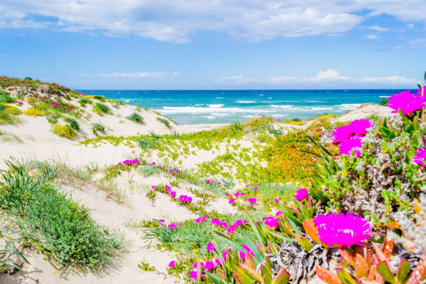 istock Colorful shore in Platamona 901659738