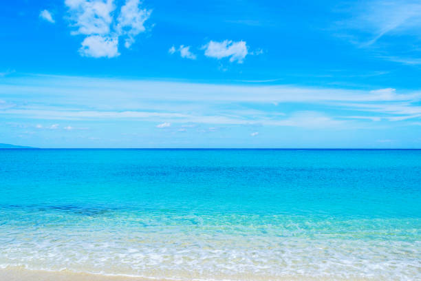 summer and travel background - aerial view of summer sandy beach, transparent sea and blue sky