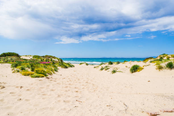 istock White sand in Platamona shore 901666108