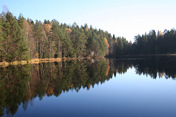 istock Autumn at Rundtjern 2 90166801