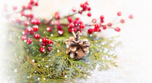 istock Winter decoration with fir tree branch 901675196