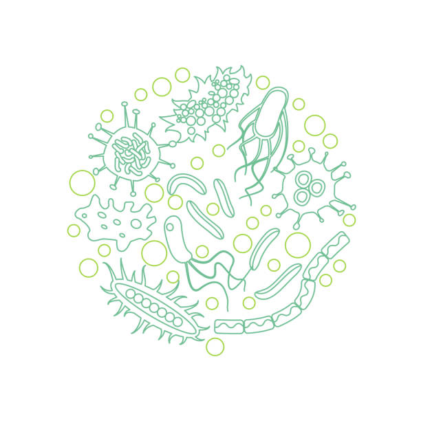 ilustrações, clipart, desenhos animados e ícones de microorganismo bacteriano em um círculo - mrsa infectious disease bacterium science