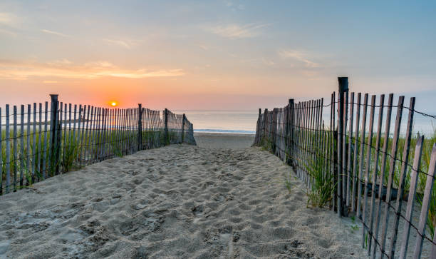 istock Sunrise at the Beach 901678348