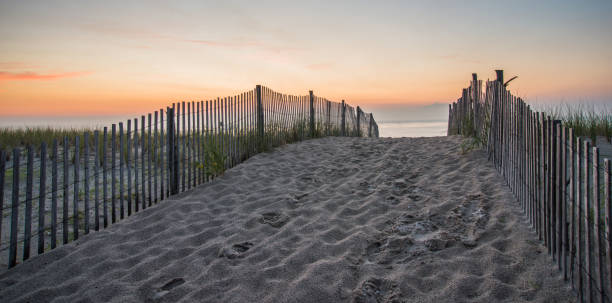 istock Sunrise at the Beach 901678350