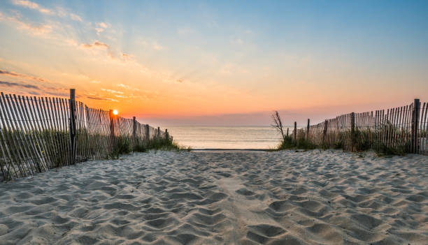 istock Sunrise at the Beach 901678438
