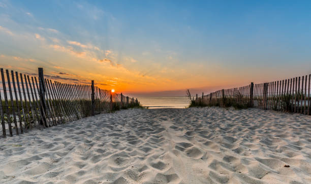istock Sunrise at the Beach 901678458