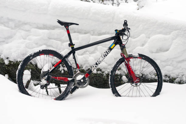 istock mountain bike trip in the mountains 901678462