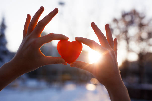 mani di donna che tengono il cuore rosso al tramonto - human hand hand raised volunteer arms raised foto e immagini stock