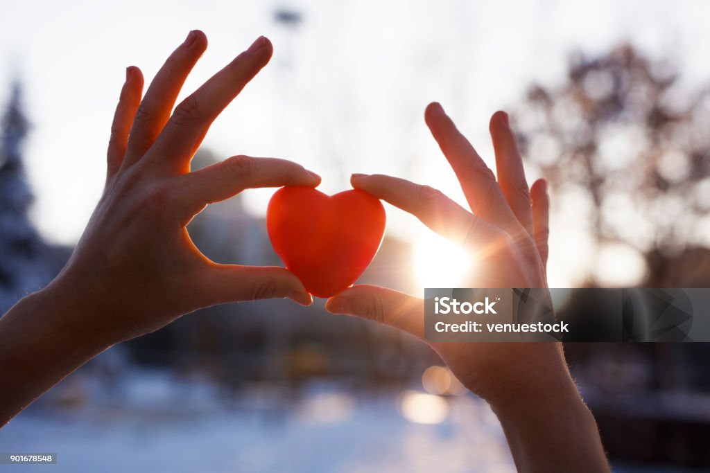Woman hands holding red heart at sunset Woman holding heart-shaped snowball, close-up of hands Charity and Relief Work Stock Photo