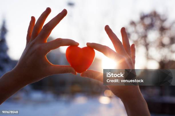 Woman Hands Holding Red Heart At Sunset Stock Photo - Download Image Now - Charity and Relief Work, Heart Shape, Giving
