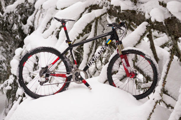 istock mountain bike trip in the mountains 901678590