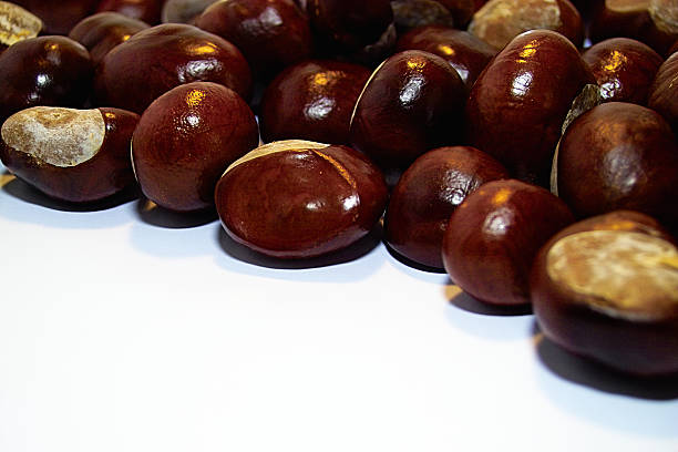 Chestnut  cusp stock pictures, royalty-free photos & images