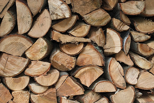 bäcker - chainsaw chain deciduous tree forester woodpile stock-fotos und bilder