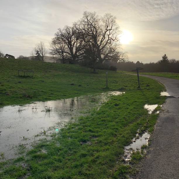 istock Rural winter countryside sunset scene 901682252