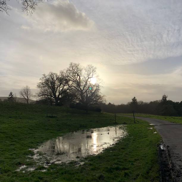 istock Rural winter countryside sunset scene 901682264