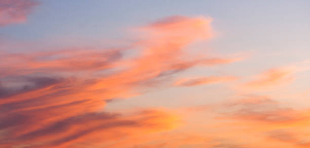 istock Panorama of Sky background or texture at the sunset time with clouds. Copy space. 901682290