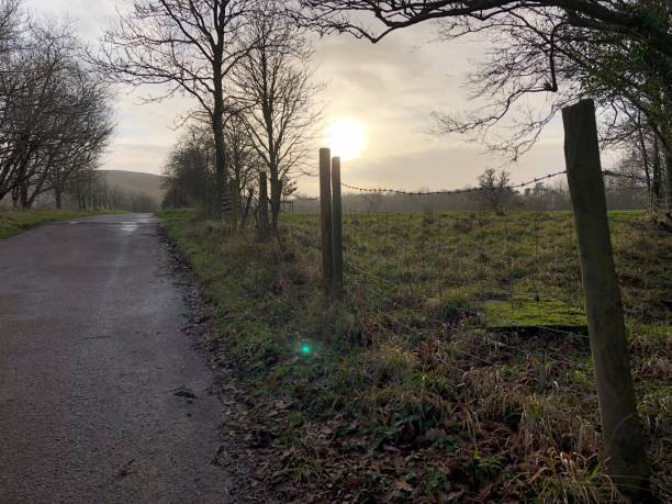istock Rural winter countryside sunset scene 901682308