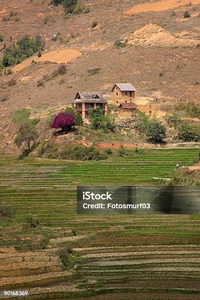 Madagascar Landscape Stock Photo - Download Image Now - Africa, Agricultural Field, Color Image