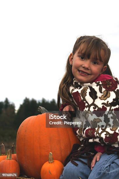 Colheita 0022 - Fotografias de stock e mais imagens de Abóbora-Menina - Cucúrbita - Abóbora-Menina - Cucúrbita, Ao Ar Livre, Apanha