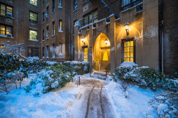 New York City, Winter, New York State, Brooklyn - New York, Snow