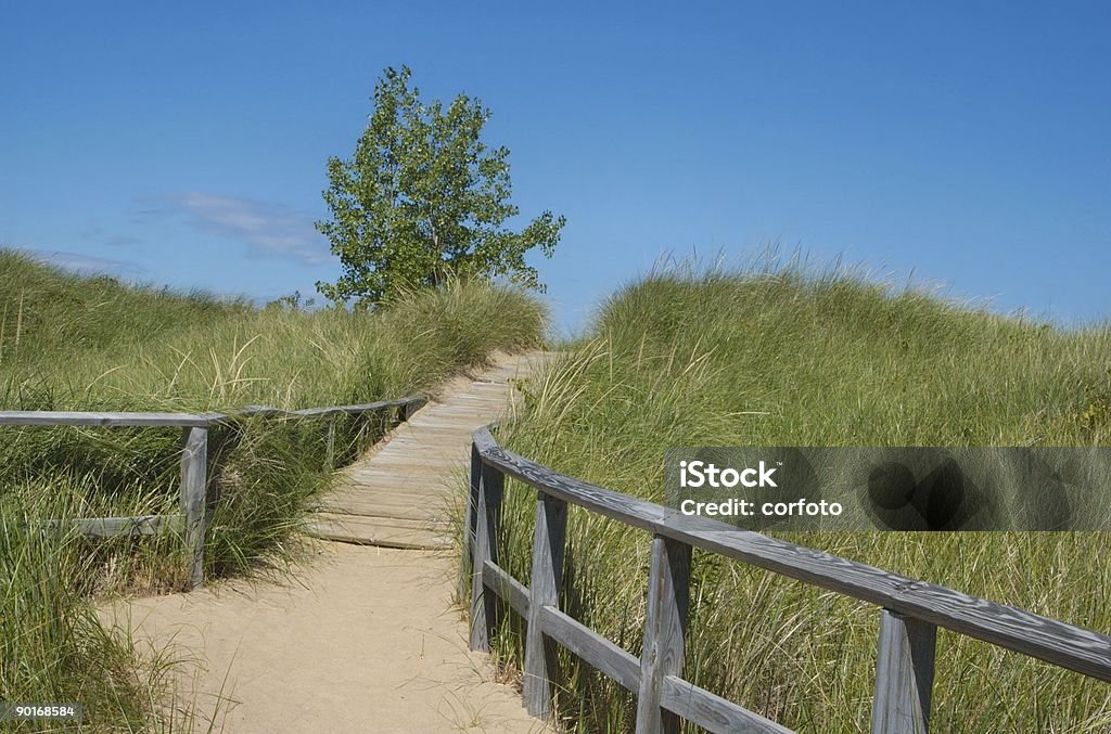 Dune Boardwalk  Michigan Stock Photo