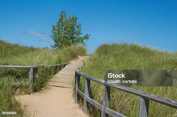 Dune Boardwalk Stock Photo - Download Image Now - Michigan, Summer, Footpath