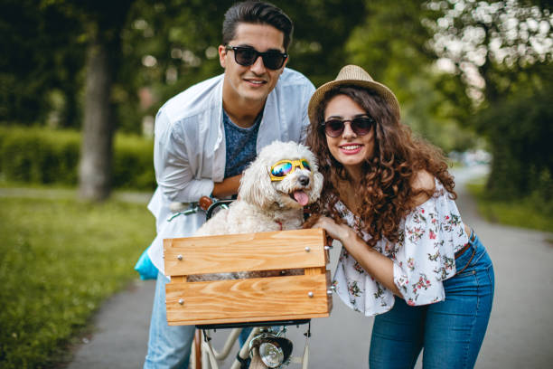 istock Cute couple with their funny dog 901694532