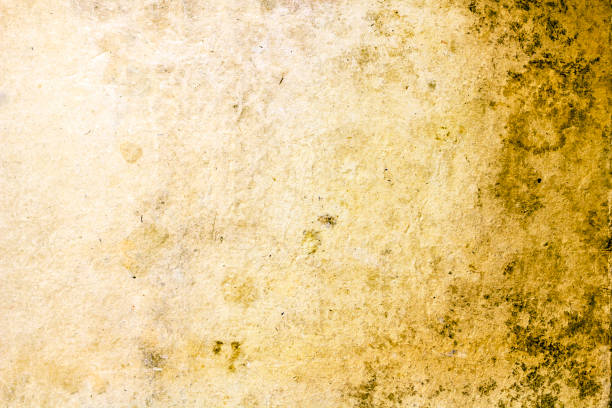 istock Vintage aged old paper. 901709658