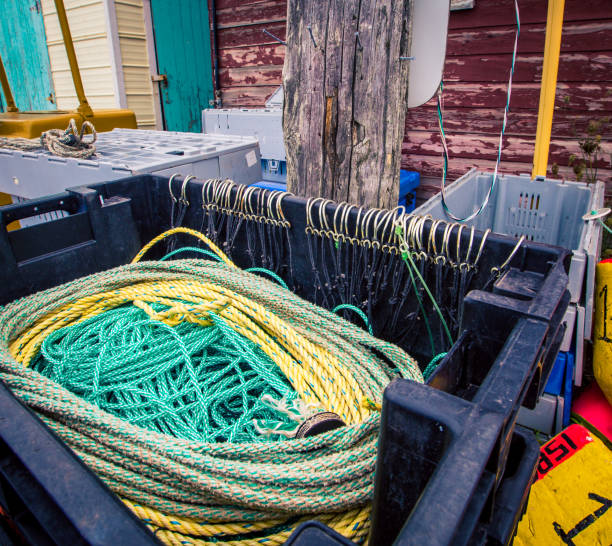 istock fishing supplies at a harbour 901713506