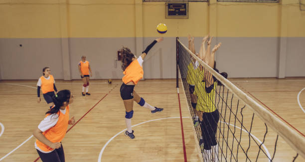 istock Female volleyball team in action 901718798