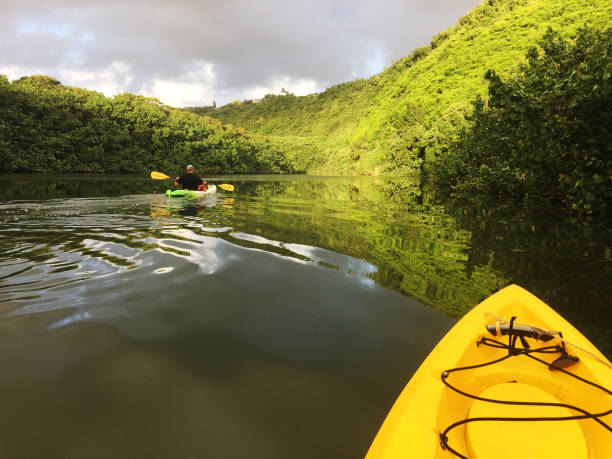 Man kayaking on the calm Wailua River in the early morning light.