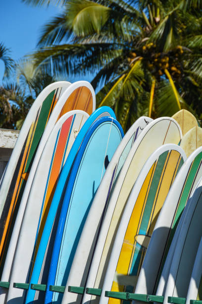 istock Colourful surf boards lined up on Hawaiian beach 901736070