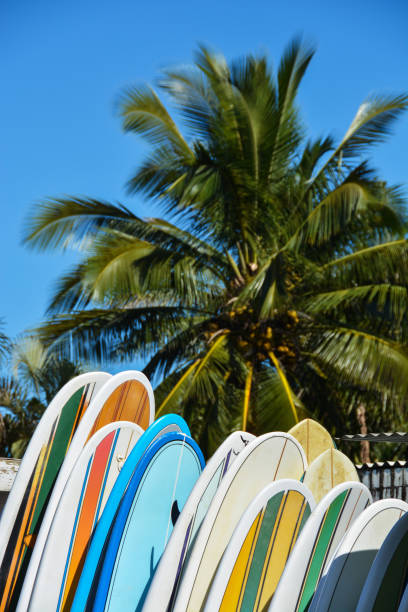 Surfboard fins and beach sand
