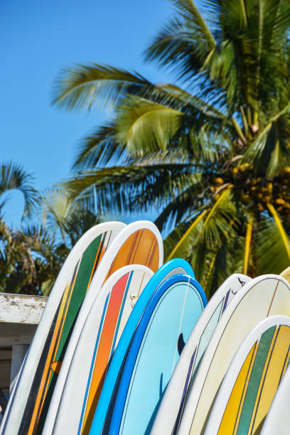 istock Colourful surf boards lined up on Hawaiian beach 901736862